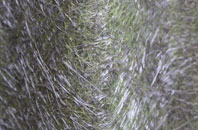 Barton Gate fibreglass roof work